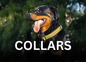 All Collars, Harness &amp; Leashes Products
