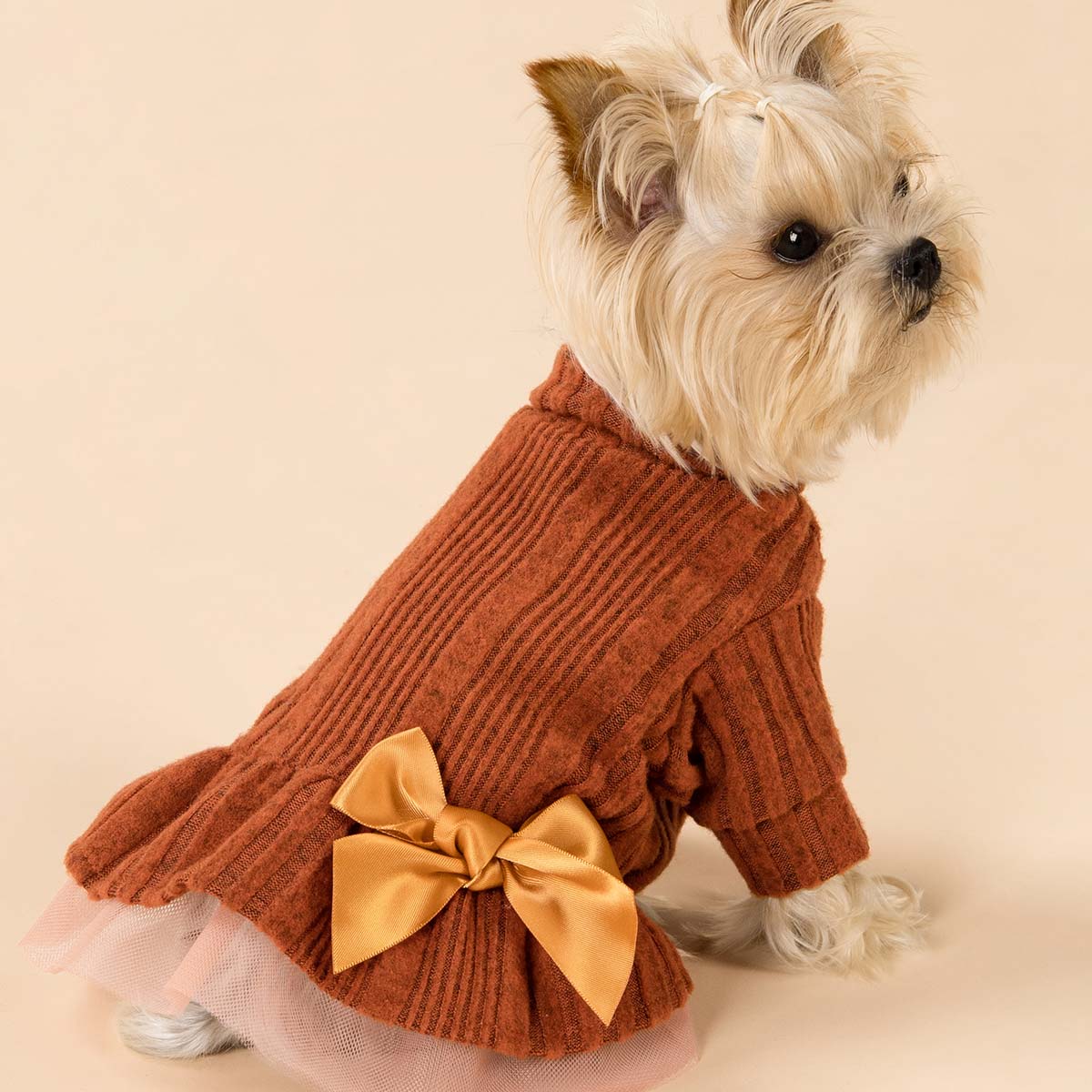 Turtleneck Tulle Knitted Fall Dress X-Small Turtleneck Tulle Knitted Fall Dress X-Small