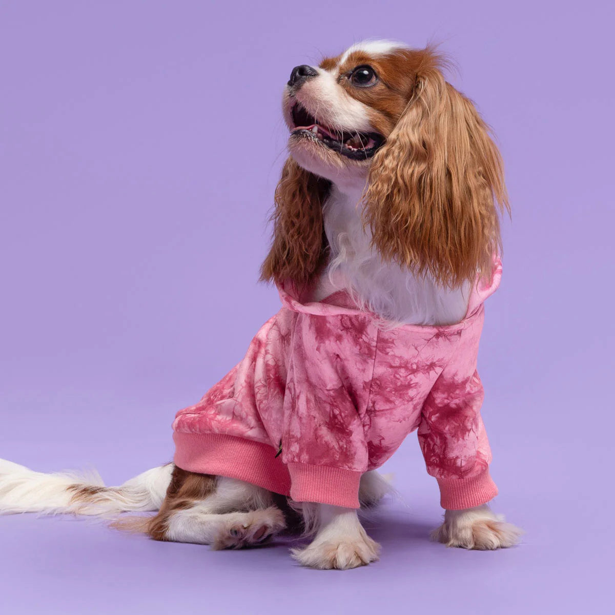Tie Dye Fleece Dog Hoodie in Pink – Posh Puppy Boutique USA