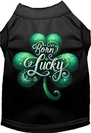 A's Born Lucky Screen Print Dog Shirt in Many Colors