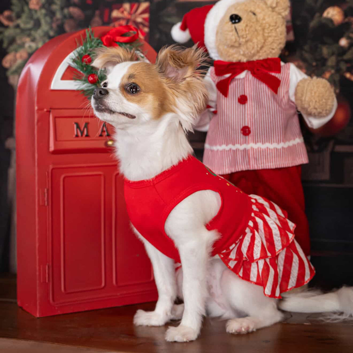 slim fit dress slacks Holiday Dog Harness Dress | Christmas Dog Dress main image 0