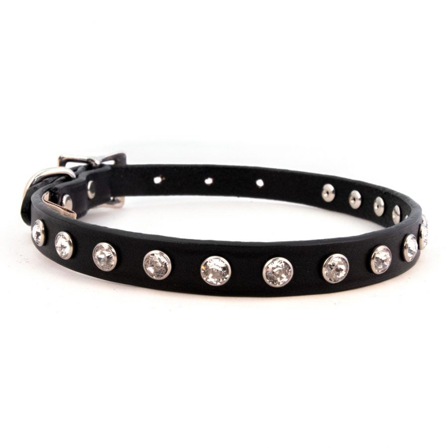 ALC-Collar-Minnie-Maddie-Black  display picture 1