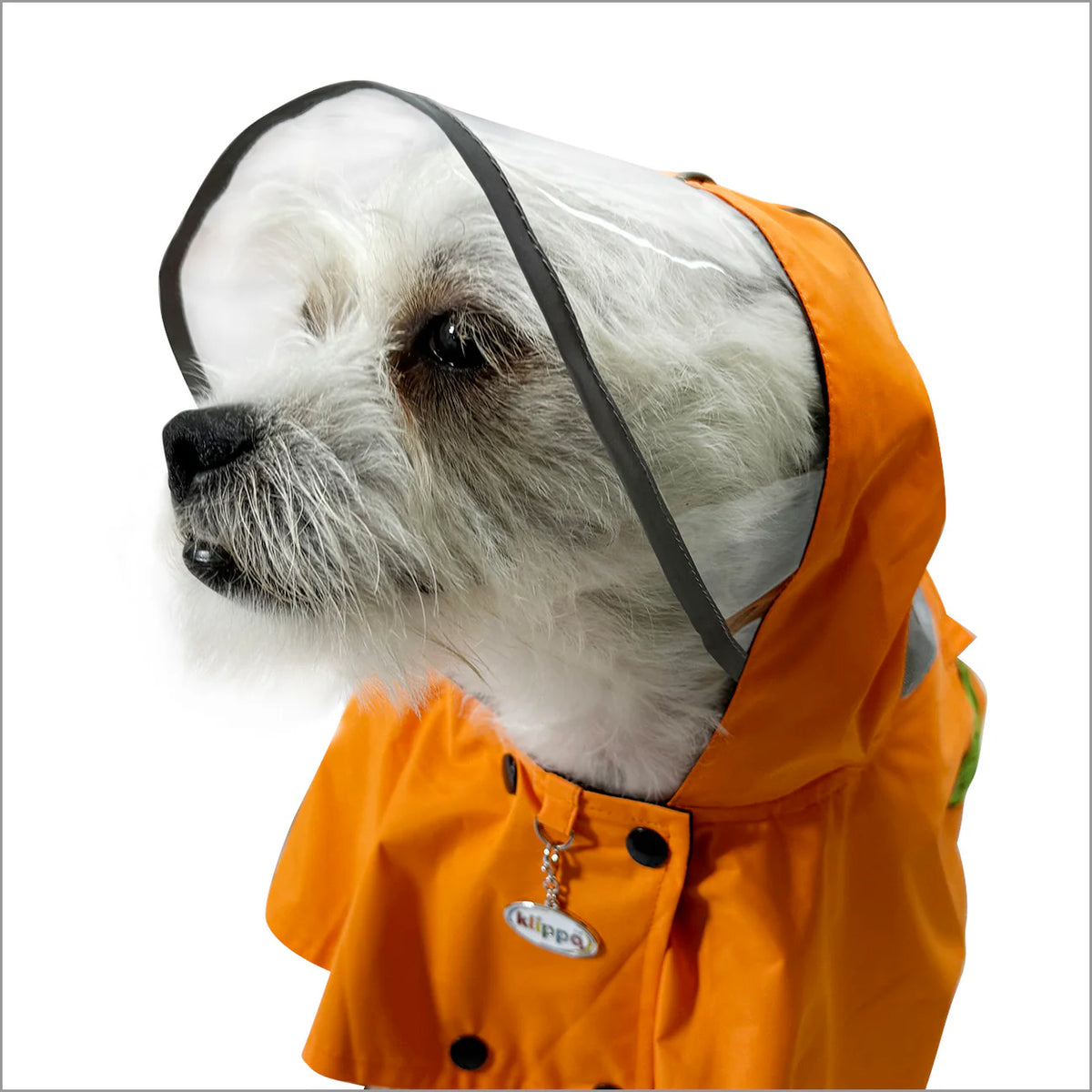 Clear View Poncho Raincoat Orange Red- Posh Puppy Boutique
