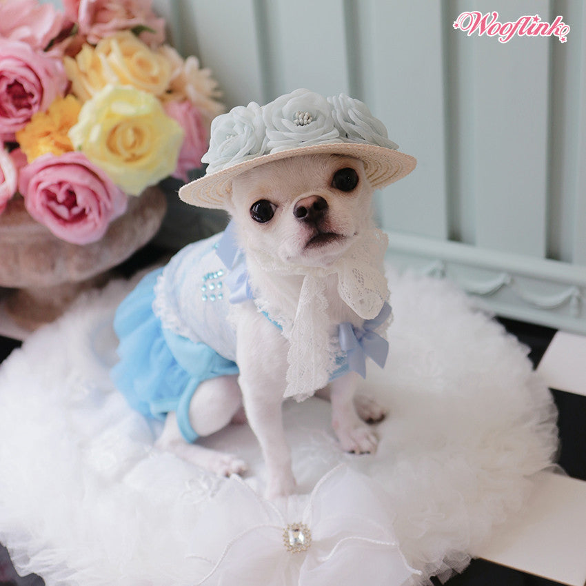 Wooflink Love Lace Top in Blue – Posh Puppy Boutique
