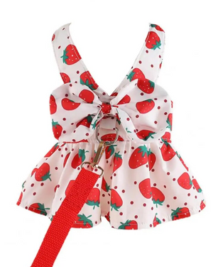 Summer Strawberry Harness Dress and Leash