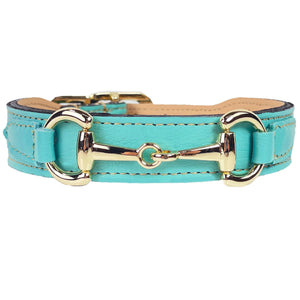 Belmont Dog Collar in Turquoise & Gold