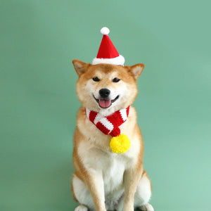 Chrismoo - 4cps Christmas Dog Gift Set