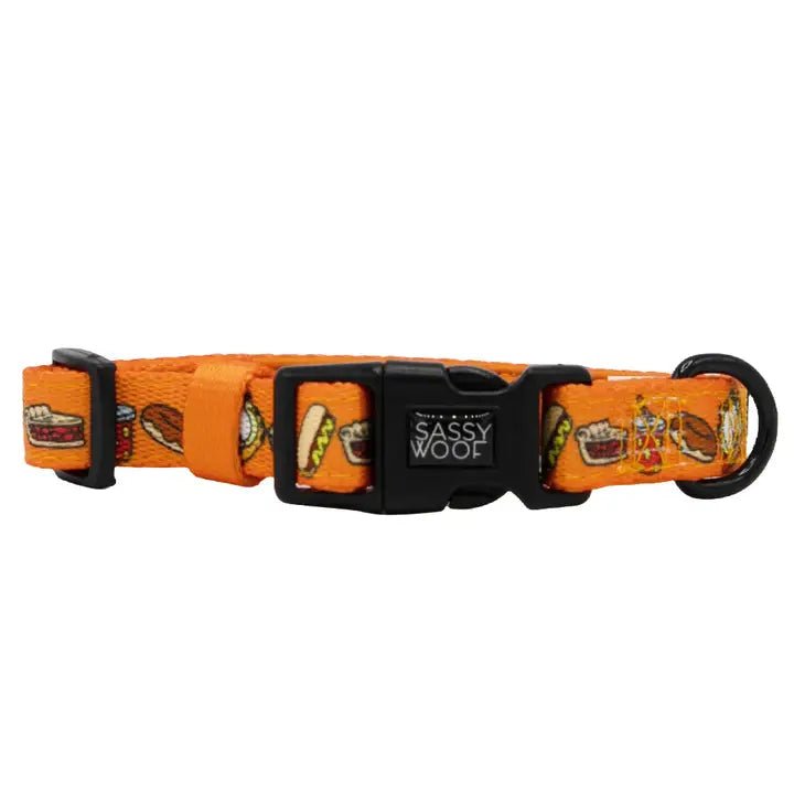 Garfield™ Collar – Posh Puppy Boutique USA | Luxury Dog Clothes ...