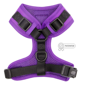 Neon Purple Adjustable Dog Harness