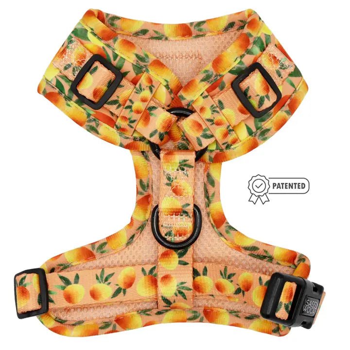 Mango Tango Adjustable Harness Posh Puppy Boutique