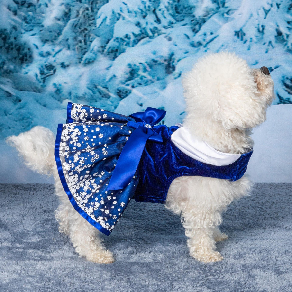Snowflakes Holiday Dog Harness Dress with Matching Leash - Posh