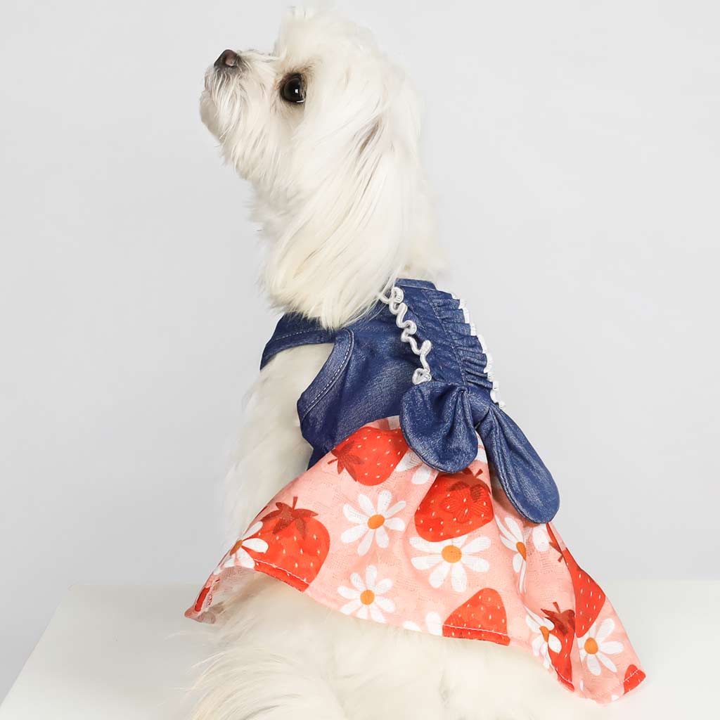 Strawberry Denim Dress Posh Puppy Boutique