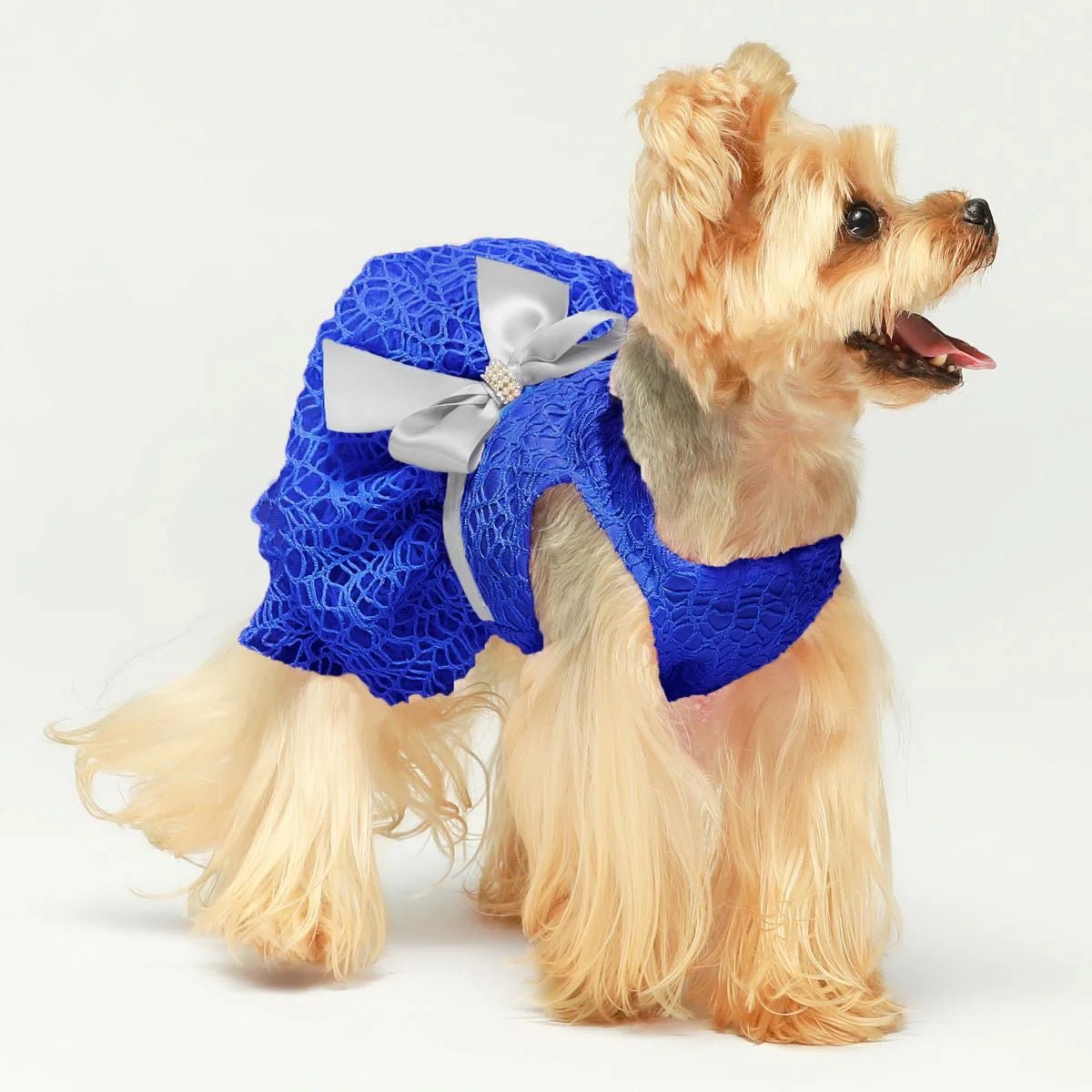 Tulle Lace Dress in Blue Posh Puppy Boutique