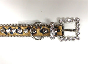 Couture Clear Crystal and Leather Dog Collar in Tan Leopard - Posh Puppy Boutique