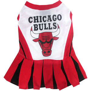 Chicago Bulls Cheerleader Pet Dress