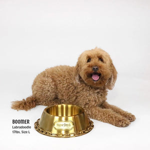 Deluxe Gold Pet Bowl - Off the Chain