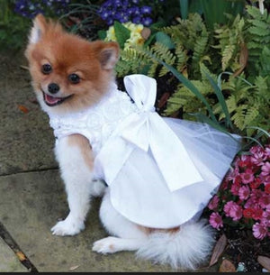 The Bianca Rose Ribbon Dog Dress - Posh Puppy Boutique
