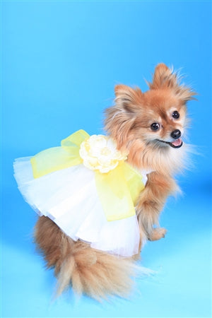 The Madeleine Harness Dog Dress with Yellow Sash - Posh Puppy Boutique