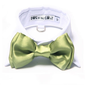 White Shirt Dog Collar with Apple Green Bow Tie - Posh Puppy Boutique
