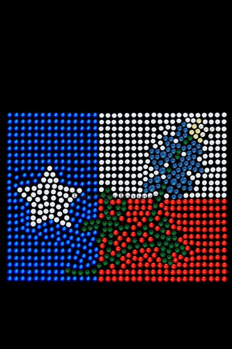 Texas Flag with Bluebonnet Rhinestone Bandana- Many Colors