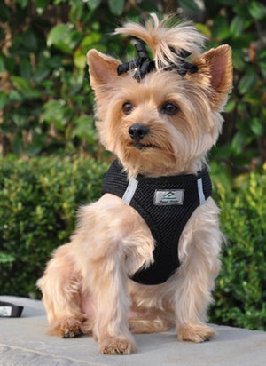 American River Ultra Choke Free Dog Harness- Black - Posh Puppy Boutique