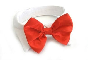 Red Satin Bow Tie & Collar - Posh Puppy Boutique