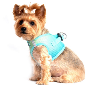 American River Ultra Choke Free Dog Harness- Ombre Collection - Aruba Blue - Posh Puppy Boutique