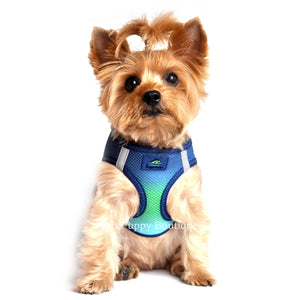 American River Ultra Choke Free Dog Harness- Ombre Collection - Northern Lights - Posh Puppy Boutique