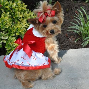 Holiday Dog Harness Dress - Candy Canes - Posh Puppy Boutique