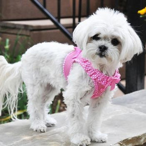 American River Choke Free Harness - Pink Polka Dot - Posh Puppy Boutique