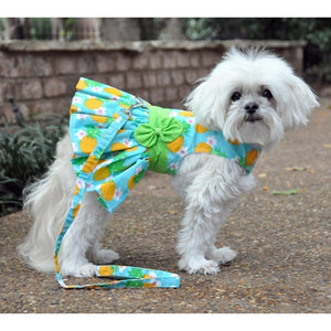 Pineapple Luau Dog Harness Dress with Matching Leash - Posh Puppy Boutique