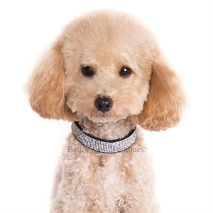 VIP Bling Collar- Black - Posh Puppy Boutique