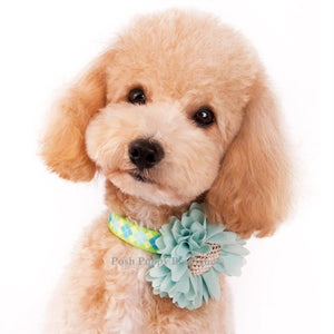 Flower 1 Collar Slider Flower Bow- Blue - Posh Puppy Boutique