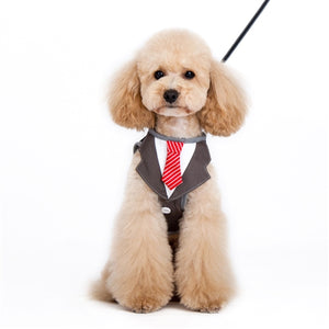 SnapGO Necktie Harness - Posh Puppy Boutique