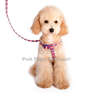 EasyCLICK Harness Fun Stripes - Posh Puppy Boutique