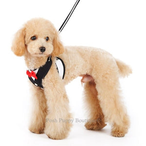 EasyGO Bowtie Step-in Harness - Posh Puppy Boutique