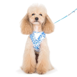 EasyGO Hawaii - Blue - Posh Puppy Boutique