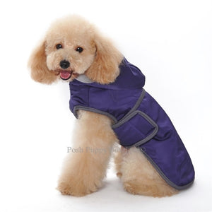 Classic Trench Coat in Purple - Posh Puppy Boutique