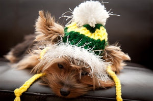 Green & Yellow Dog Hat - Posh Puppy Boutique