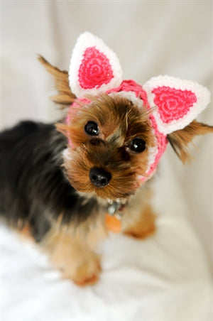 Hot Pink Kitty Cat Ears Dog Hat Headband - Posh Puppy Boutique