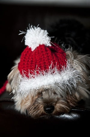Red & White Knit Hat for Dogs - Posh Puppy Boutique