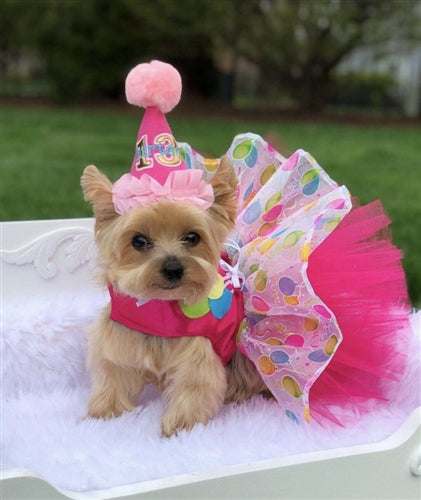 Birthday Dog Harness Dress