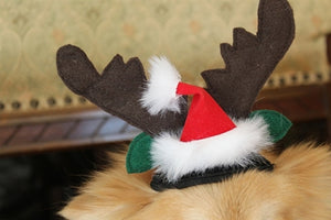 Reindeer Ears Hat - Cat or Dog - Posh Puppy Boutique