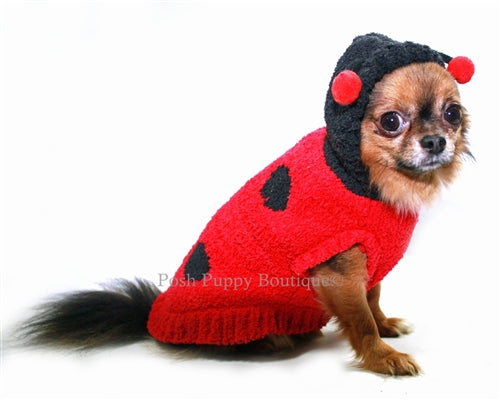Chenille Lady Bug Hoodie Sweater