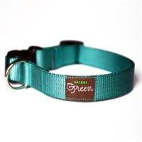 Mimi Green Teal Webbing Dog Collar - Posh Puppy Boutique