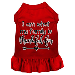 I Am What My Family is Thankful For Screen Print Dog Dresses in Many Colors - Posh Puppy Boutique