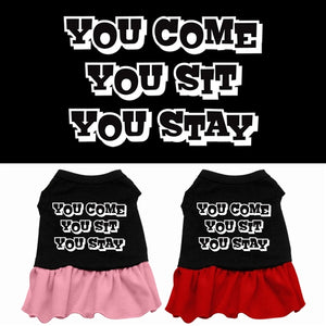 You Come, You Sit, You Stay Screen Print Dress - Posh Puppy Boutique