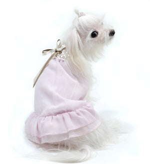 Sheer Bliss Dress - Posh Puppy Boutique