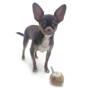 CocoTherapy Coco-Nut Pipsqueak Toy - Posh Puppy Boutique