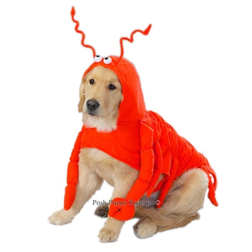 Lobster Paws Costume